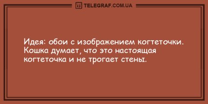 Подарите миру свою улыбку: подборка смешных анекдотов на утро Подарите миру свою улыбку: подборка смешных анекдотов на утро