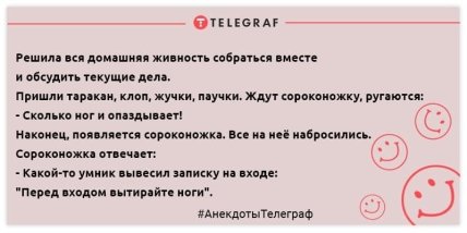 Для тех, кто встал не с той ноги: утренние анекдоты, которые заставят вас смеяться Для тех, кто встал не с той ноги: утренние анекдоты, которые заставят вас смеяться