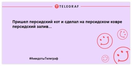 \"Стучите громче — во дворе глухая собака\": улетные шутки о братьях наших меньших (ФОТО) \"Стучите громче — во дворе глухая собака\": улетные шутки о братьях наших меньших (ФОТО)