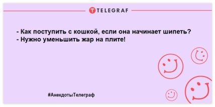 \"Стучите громче — во дворе глухая собака\": улетные шутки о братьях наших меньших (ФОТО) \"Стучите громче — во дворе глухая собака\": улетные шутки о братьях наших меньших (ФОТО)