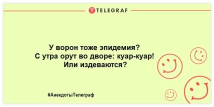 Похохочем вместе: лучшие анекдоты для отличного настроения на вечер Похохочем вместе: лучшие анекдоты для отличного настроения на вечер