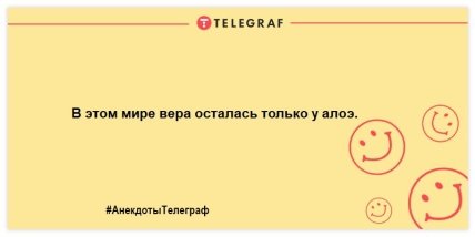 Улыбнись и не грусти: уморительные анекдоты на утро Улыбнись и не грусти: уморительные анекдоты на утро