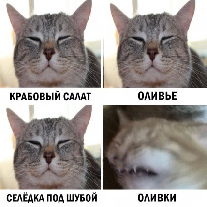 И только ёлки ненавидят Новый год: лучшие новогодние шутки и мемы на вечер (ФОТО) И только ёлки ненавидят Новый год: лучшие новогодние шутки и мемы на вечер (ФОТО)