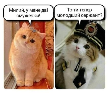 \"Наташа вставай! Там из военкомата пришли!\": подборка смешных картинок о военном учете для женщин \"Наташа вставай! Там из военкомата пришли!\": подборка смешных картинок о военном учете для женщин