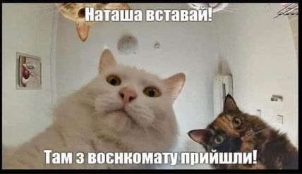 \"Наташа вставай! Там из военкомата пришли!\": подборка смешных картинок о военном учете для женщин \"Наташа вставай! Там из военкомата пришли!\": подборка смешных картинок о военном учете для женщин