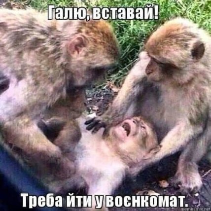 Украинцы шутят по поводу постановки женщин на воинский учёт: самые прикольные мэмы из соцсетей (ФОТО) Украинцы шутят по поводу постановки женщин на воинский учёт: самые прикольные мэмы из соцсетей (ФОТО)