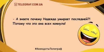 Не вечер, а сплошной позитив: новейшие шутки для отличного настроения Не вечер, а сплошной позитив: новейшие шутки для отличного настроения