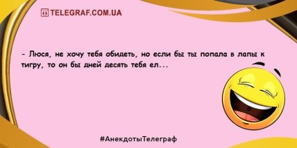 Порция хорошего настроения: лучшая подборка шуток на день  Порция хорошего настроения: лучшая подборка шуток на день