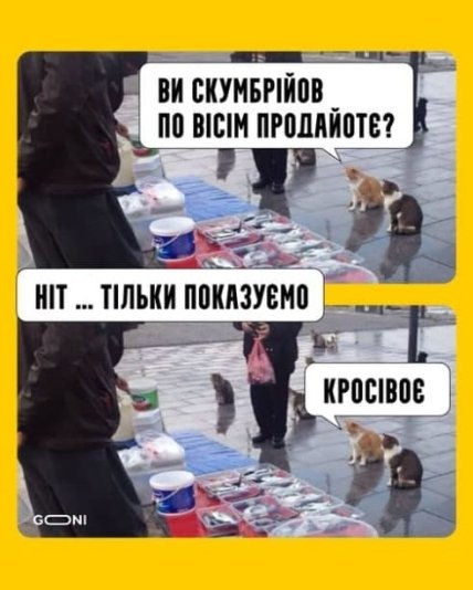 Скумбрия \"по 8\" вместо хлеба и \"располневший\" президент: лучшие мемы после оговорки Елены Зеленской (фото)  Скумбрия \"по 8\" вместо хлеба и \"располневший\" президент: лучшие мемы после оговорки Елены Зеленской (фото)