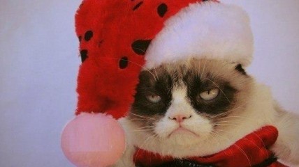 Отдельная категория шуток - новогоднее настроение