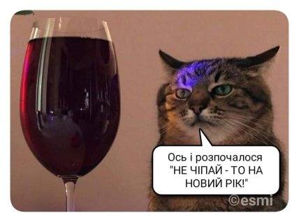 Утро после корпоратива: подборка мемов и приколов про Новый год (фото, видео) Утро после корпоратива: подборка мемов и приколов про Новый год (фото, видео)