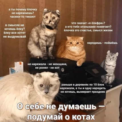 Инспектор Хвост проверку елки начал: смешные мемы и видео о котиках перед Новым Годом (ФОТО) Инспектор Хвост проверку елки начал: смешные мемы и видео о котиках перед Новым Годом (ФОТО)