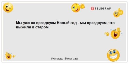 На Новый год кто-то один в семье должен быть трезвым. Выбрали кота: шутки 1 января На Новый год кто-то один в семье должен быть трезвым. Выбрали кота: шутки 1 января