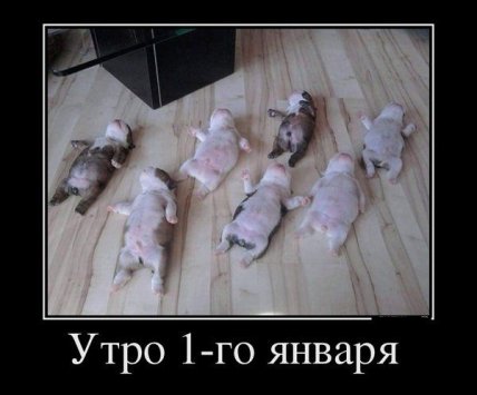 Первое января — самый короткий день в жизни: юморные новогодние мемы, фотожабы и другие приколы (ФОТО) Первое января — самый короткий день в жизни: юморные новогодние мемы, фотожабы и другие приколы (ФОТО)