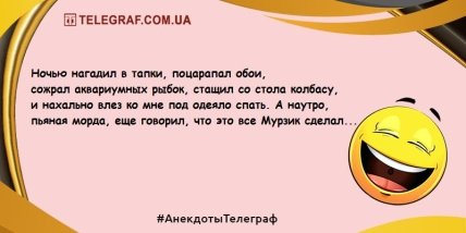 Это воскресенье запомнится надолго: юморные утренние шутки (ФОТО) Это воскресенье запомнится надолго: юморные утренние шутки (ФОТО)