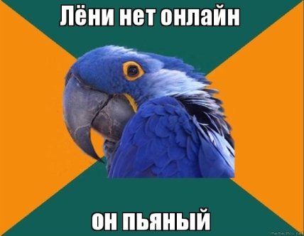 В Австралии нашествие пьяных попугаев: как так получилось (видео ) В Австралии нашествие пьяных попугаев: как так получилось (видео )