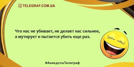 Заряжаемся позитивным настроением: веселые анекдоты на вечер Заряжаемся позитивным настроением: веселые анекдоты на вечер