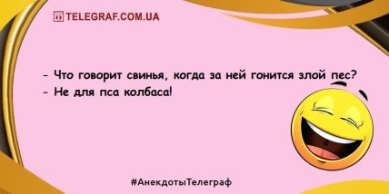 Передозировка смехом: юморные вечерние шутки (ФОТО) Передозировка смехом: юморные вечерние шутки (ФОТО)