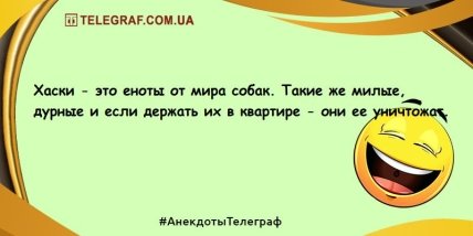 Для печали нет причин: бодрящая порция новых шуток (ФОТО) Для печали нет причин: бодрящая порция новых шуток (ФОТО)
