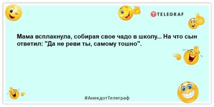 В студенческой общаге пропала кошка. Вот такие пироги: прикольные утренние шутки (ВИДЕО) В студенческой общаге пропала кошка. Вот такие пироги: прикольные утренние шутки (ВИДЕО)