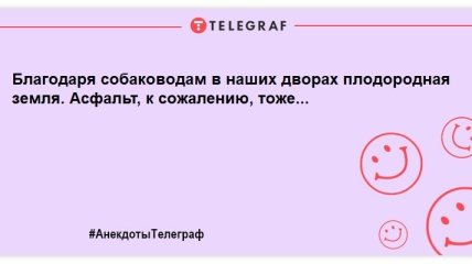 Улетные шутки о братьях наших меньших Улетные шутки о братьях наших меньших