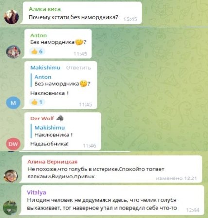 В сеть попало видео прогулки с голубем на поводке В сеть попало видео прогулки с голубем на поводке