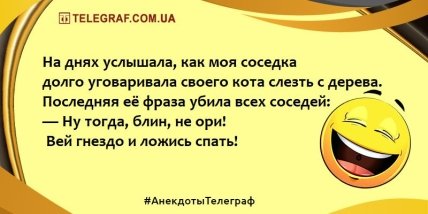 Для хорошего настроения: анекдоты, которые скрасят ваш вечер Для хорошего настроения: анекдоты, которые скрасят ваш вечер