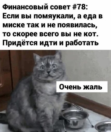 Кошачья истина