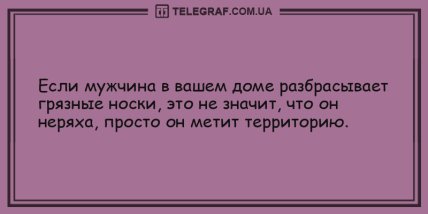 Пускай улыбка не сходит с лица: анекдоты на вечер (ФОТО) Пускай улыбка не сходит с лица: анекдоты на вечер (ФОТО)