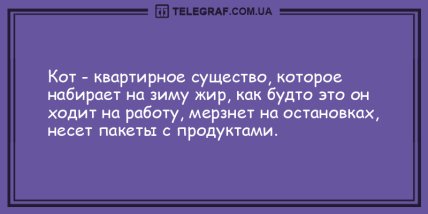 Проснись и не сердись: самые смешные утренние анекдоты (ФОТО)