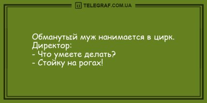 Проснись и не сердись: самые смешные утренние анекдоты (ФОТО) Проснись и не сердись: самые смешные утренние анекдоты (ФОТО)