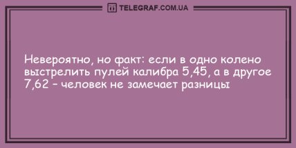 Настроение - выше крыши: новые анекдоты (ФОТО) Настроение - выше крыши: новые анекдоты (ФОТО)