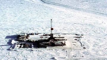 Нефть в холодных водах 