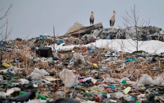 В Черкасской области перевернулась фура с львовским мусором