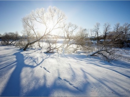 Сегодня в Николаеве солнечная, морозная погода