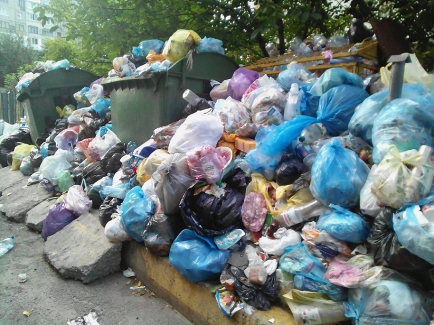 Во Львове из-за мусора могут закрыть школы и десткие сады