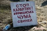 Африканская чума свиней в Украине: репортаж из карантинной зоны