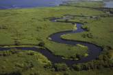 Природа восстанавливается восхитительно быстро -  в Украине спасают болота в дельте Дуная