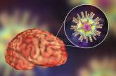 Как коронавирус убивает головной мозг 