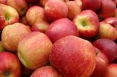 Купуючи яблука, вибирайте «жіночі» – вони найсолодші