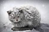 Впереди самая сложная зима в истории Украины. Как выживать - советы экспертов
