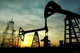 ОПЕК планирует сокращение добычи нефти - сколько будет стоить бензин?