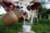 В Украине множество коров пустили под нож: назревает молочный кризис