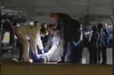 Полиция раскрыла новые подробности убийства российского летчика-перебежчика