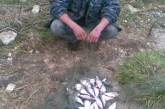 Всего за один день николаевские рыбинспекторы задержали трех браконьеров