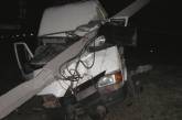 В Николаеве 24-летний водитель маршрутки не справился с управлением и врезался в столб электросети