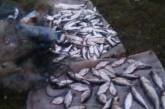 В Николаевской области поймали двух браконьеров, наловивших рыбы на 57 тысяч грн.