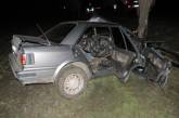 На Николаевщине водитель “Ниссана” врезался в дерево и погиб на месте ДТП