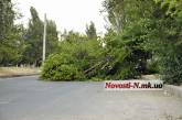 Упавшее дерево перекрыло улицу Чкалова