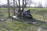 На Николаевщине из-за превышения скорости автомобиль съехал в кювет и врезался в дерево: двое парней чудом остались в живых